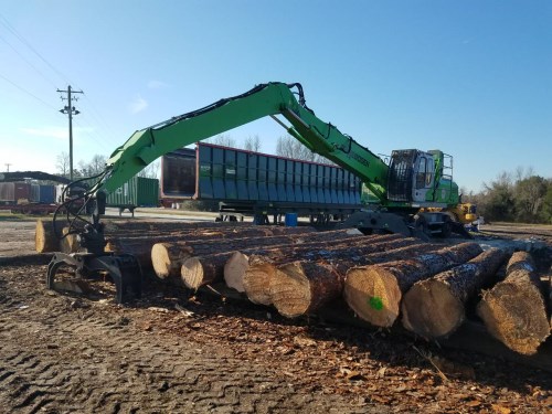 North American Oak Logs