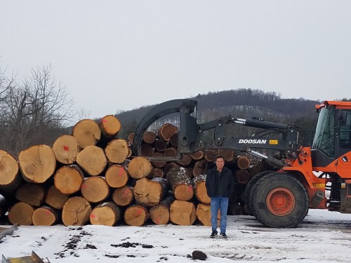 North American Oak Logs