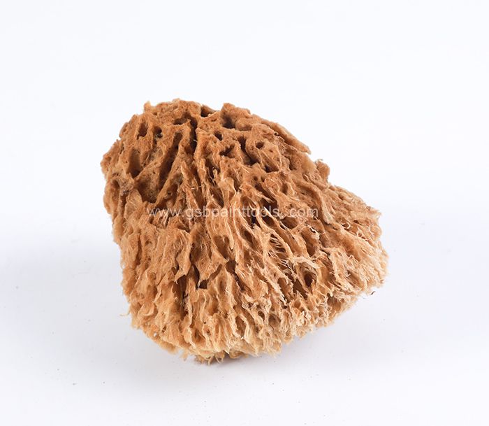 Natural sponge