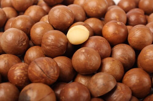 Macadamia nuts