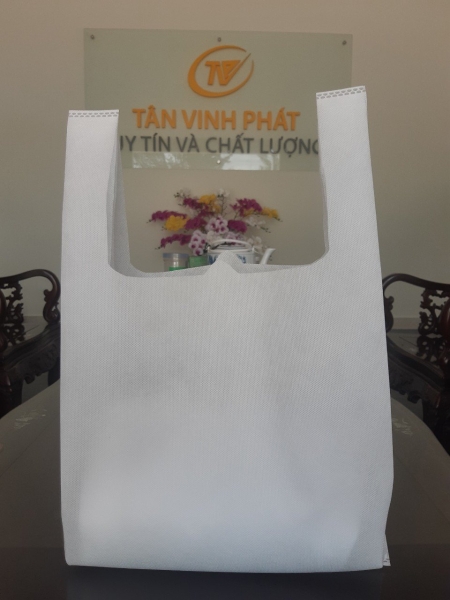 Eco-friendly non woven bag