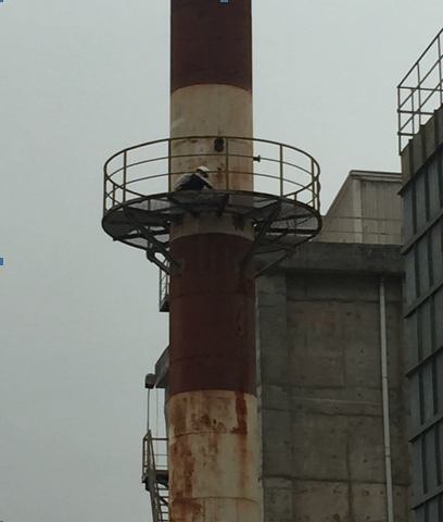 Environmental monitoring