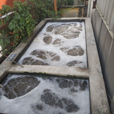 Wastewater treatment system