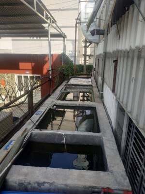Wastewater treatment system