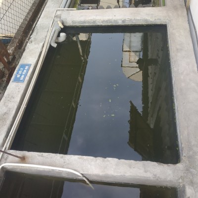 Wastewater treatment system
