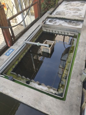 Wastewater treatment system