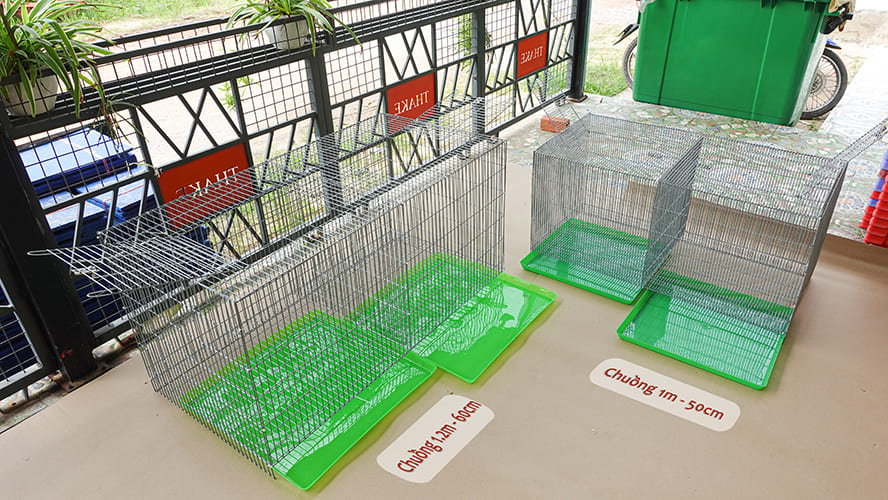 Chicks brooding cage