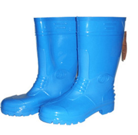 Acid-resistant shoes