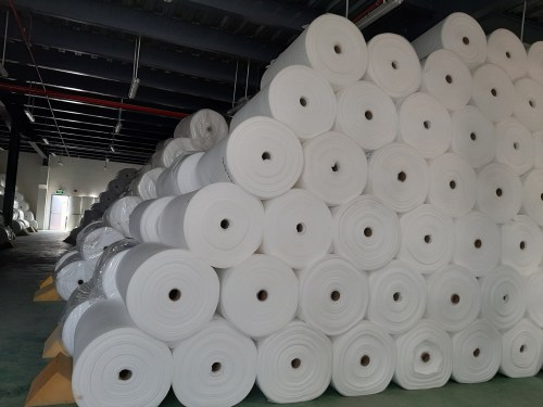 Foam Roll