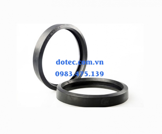 Cyclinder seal