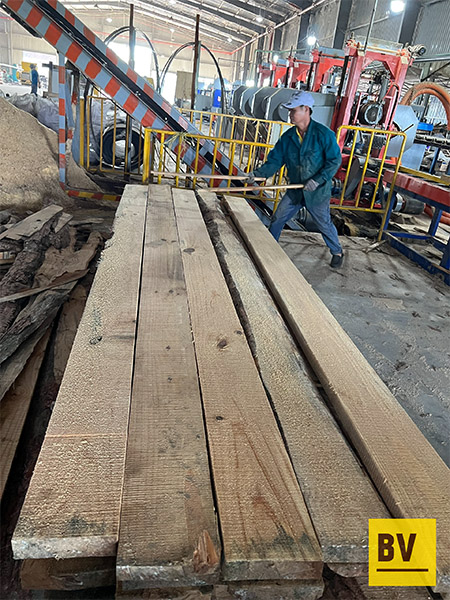 Vietnamese acacia and pine sawn timber