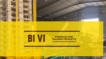 Plywood pallet