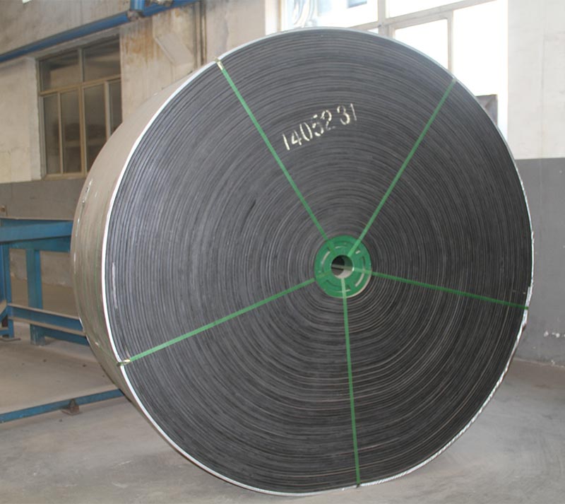Cotton conveyor belt