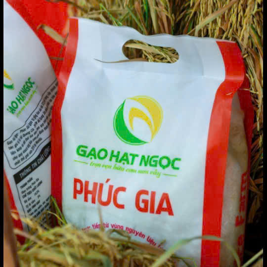 Hat Ngoc Phuc Gia rice