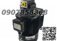 Hydraulic pump