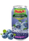 Blueberry fruit juice
