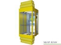 Observation elevator