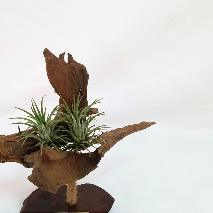 Interior decoration
