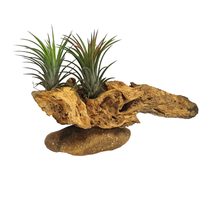 Interior decoration