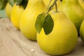 Dien Pomelo