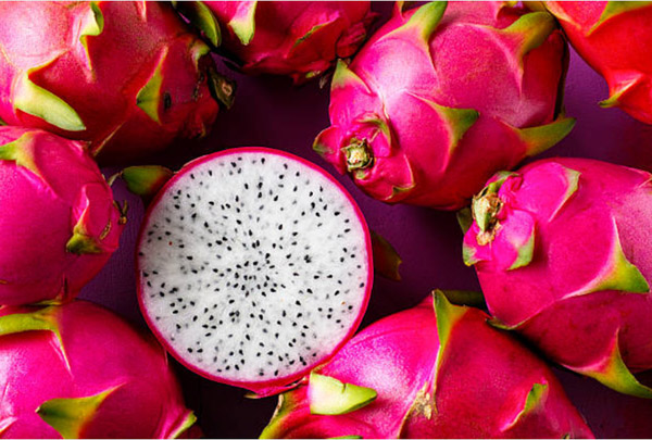 Dragon fruit