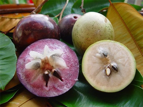 Star apple