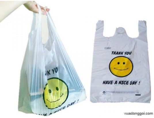 Nylon bags