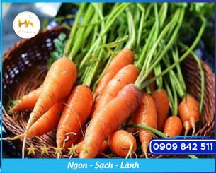 Carrots