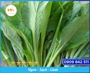 Mustard Greens