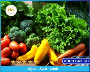 Organic Vegetables