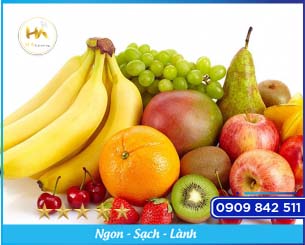 Imported Fruits