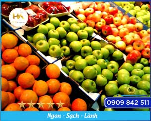 Seasonal Fruits