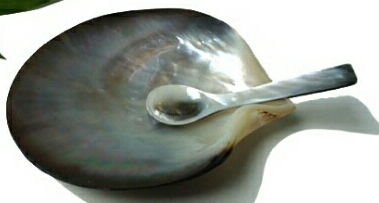 Mussel shell dishes