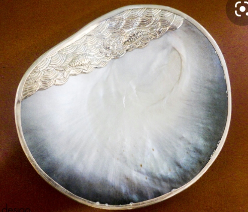 Mussel shell dishes