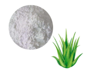 Aloe powder