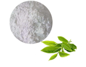 Epigallocatechin Gallate