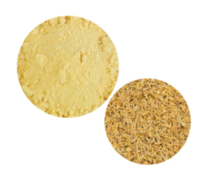 Rice bran ceramide