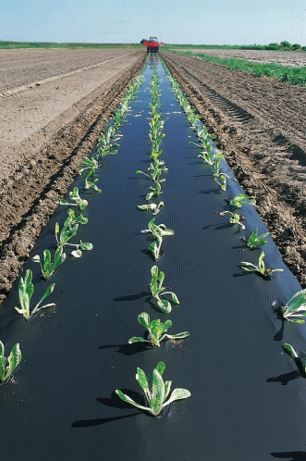 Agricultural film