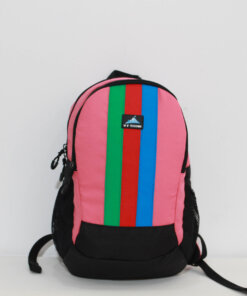 Student backpack