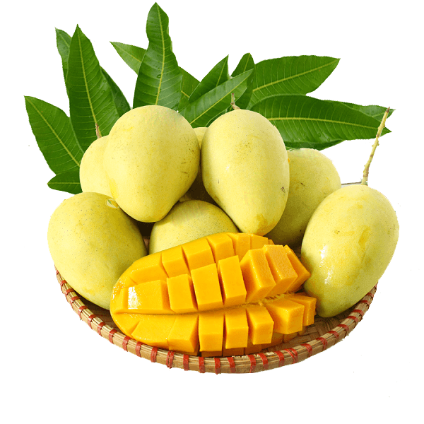 Fresh fruit
