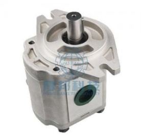 High pressure gear pump