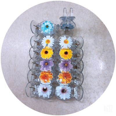 Hair Claw Clips