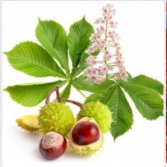 Horse chestnut extract