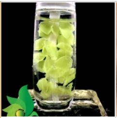 Petals Green