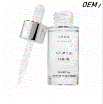 Stem cells