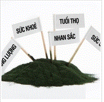 Spirulina