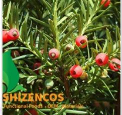 Pine tree extract