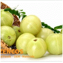 Sesame extract