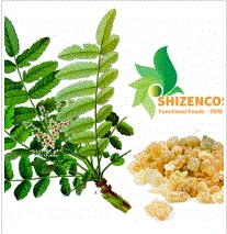 Frankincense extract