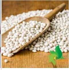 White bean extract
